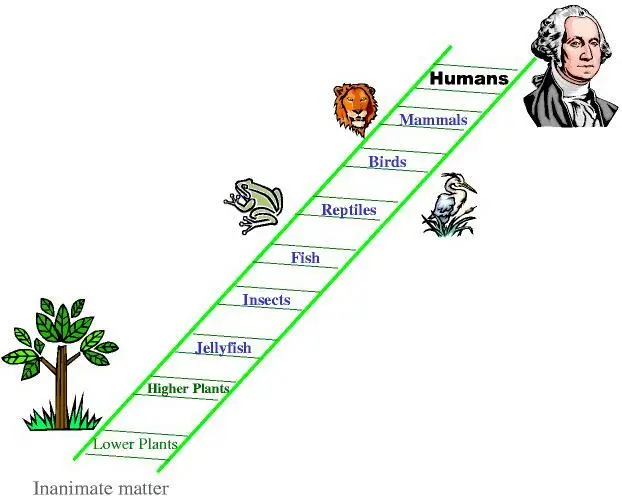 Ladder of Evolution (Image from Evolve or Die)